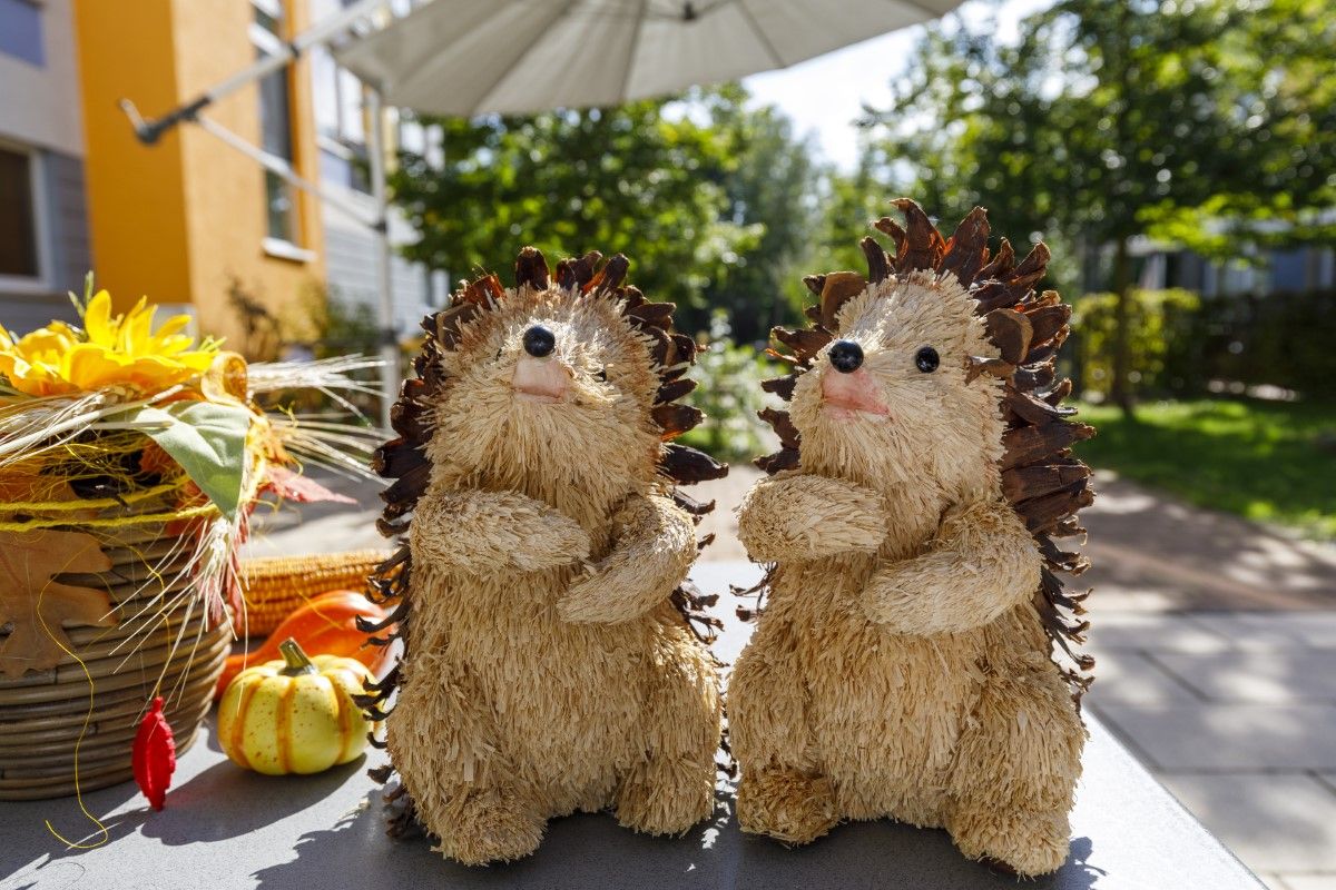 Igel (Dekoration) im Garten