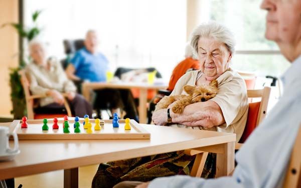 Gemütliches Beisammensein