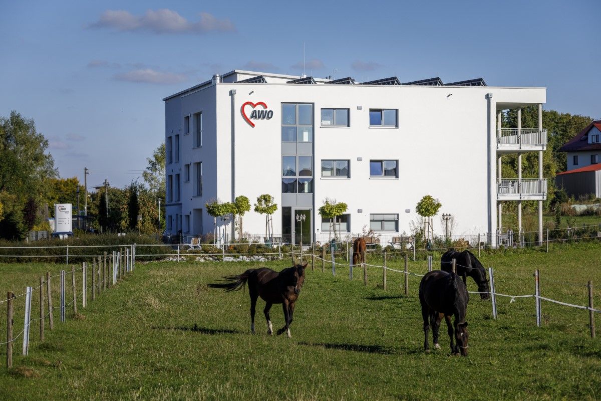 Pferde auf einer Weide vor dem Seniorenzentrum