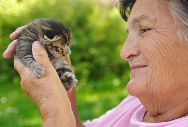 Tiergestützte Therapie