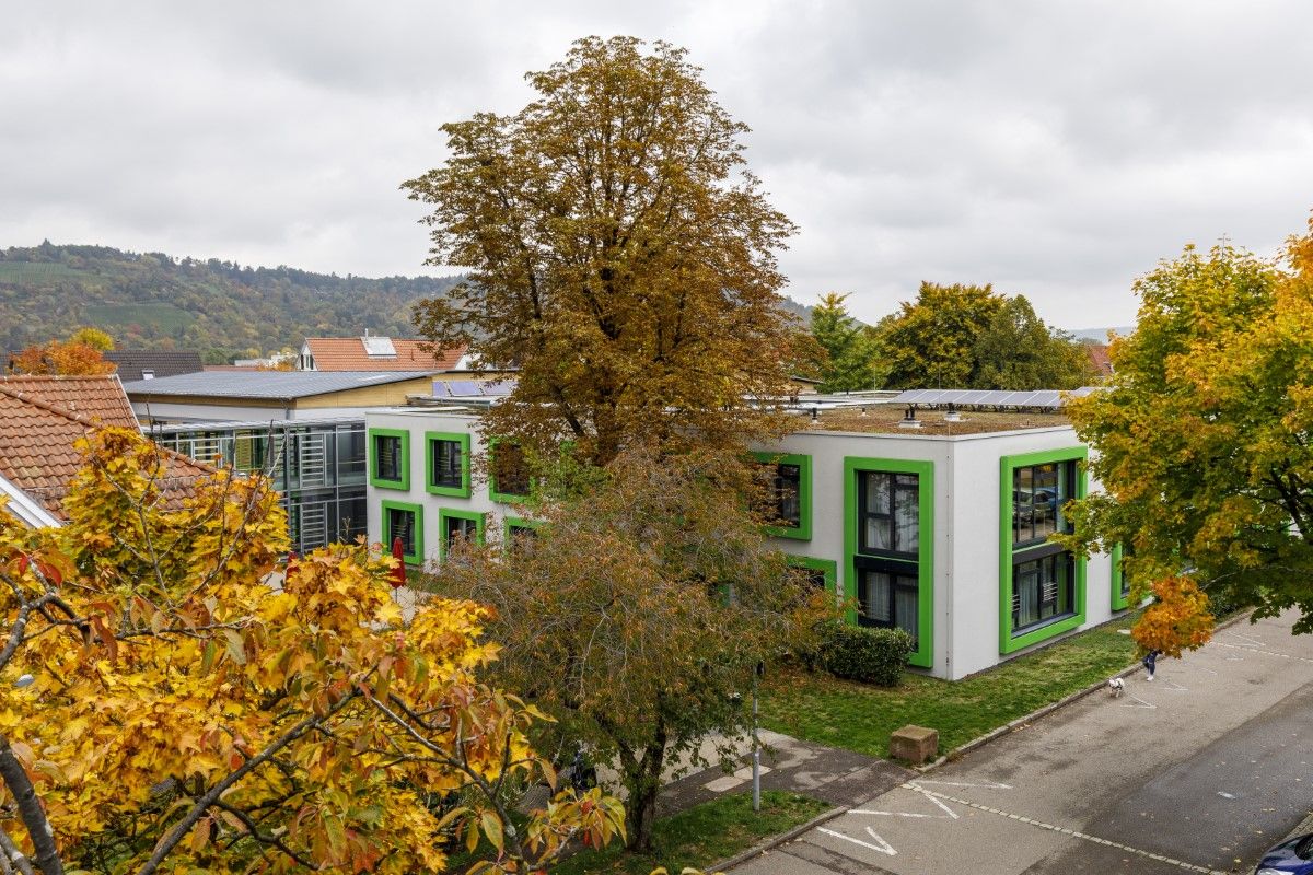 Viele Bäume im Außenbereich